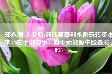 郑永刚 上交所(浙江富豪郑永刚玩转资本术：左手倒右手，旗下新能源牛股暴涨308%)