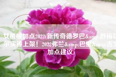 女机械加点2022(新传奇德罗巴&舒梅切尔实锤上架！2022弗兰&巴里&吉文加点建议)