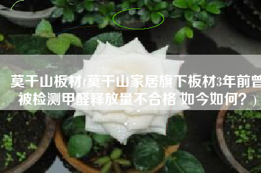 莫干山板材(莫干山家居旗下板材3年前曾被检测甲醛释放量不合格 如今如何？)