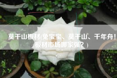 莫干山板材(兔宝宝、莫干山、千年舟！板材市场哪家强？)