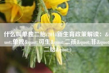 什么叫单独二胎(2014新生育政策解读："单独"可生"二孩"非"二胎")