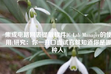 集成电路网表提取软件IC Lab Manager的使用(研究：你一开口面试官就知道你是哪种人)