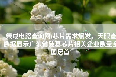 集成电路查询网(芯片需求爆发，天眼查数据显示广东省硅基芯片相关企业数量全国居首)