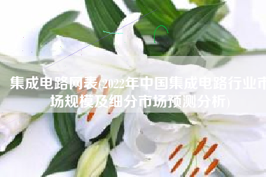 集成电路网表(2022年中国集成电路行业市场规模及细分市场预测分析)