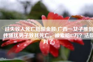 过失致人死亡赔偿金额(广西一女子推倒性骚扰男子致其死亡，被索赔87万？法院判了)