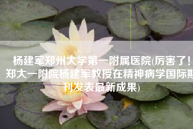 杨建军郑州大学第一附属医院(厉害了！郑大一附院杨建军教授在精神病学国际期刊发表最新成果)