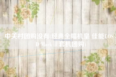 中关村团购没有(经典全幅机皇 佳能EOS 5D MarkⅢ套机团购)