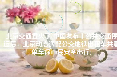 北京交通委火了(中国发布丨公共交通停运后，北京动态调配公交地铁出租车共享单车保市民安全出行)