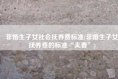 非婚生子女社会抚养费标准(非婚生子女抚养费的标准“夫妻”)