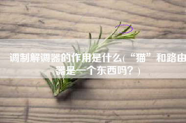 调制解调器的作用是什么(“猫”和路由器是一个东西吗？)