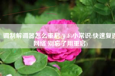 调制解调器怎么重启(WiFi小常识:快速复连网络 别忘了用重启)