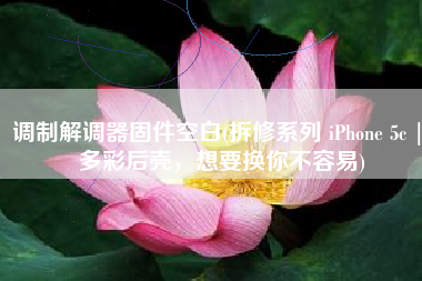 调制解调器固件空白(拆修系列 iPhone 5c | 多彩后壳，想要换你不容易)