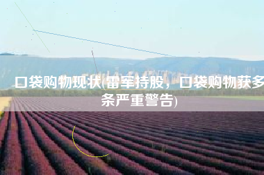 口袋购物现状(雷军持股，口袋购物获多条严重警告)