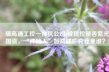 瑞高通工控一体机公司(被指控侵吞紫光国资，“神秘人”智路建广究竟是谁？)