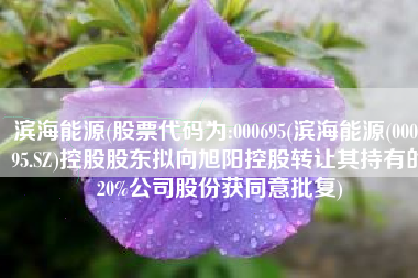 滨海能源(股票代码为:000695(滨海能源(000695.SZ)控股股东拟向旭阳控股转让其持有的20%公司股份获同意批复)