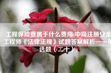 工程保险费属于什么费用(中级注册安全工程师《法律法规》试题答案解析——单选题（二十）)