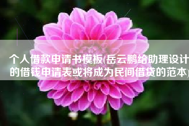 个人借款申请书模板(岳云鹏给助理设计的借钱申请表或将成为民间借贷的范本)