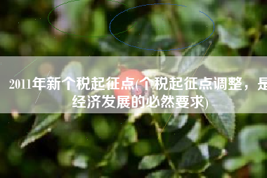 2011年新个税起征点(个税起征点调整，是经济发展的必然要求)