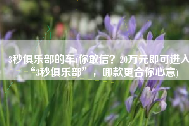 3秒俱乐部的车(你敢信？20万元即可进入“3秒俱乐部”，哪款更合你心意)