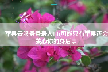 苹果云服务登录入口(可能只有苹果还会关心你的身后事)