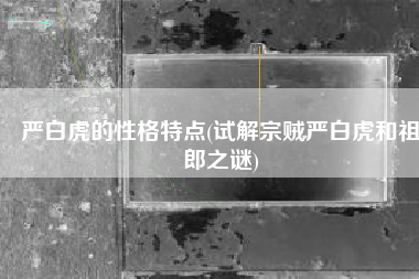 严白虎的性格特点(试解宗贼严白虎和祖郎之谜)