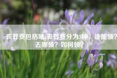 丧葬费包括啥(丧葬费分为3种，谁能领？去哪领？如何领？)