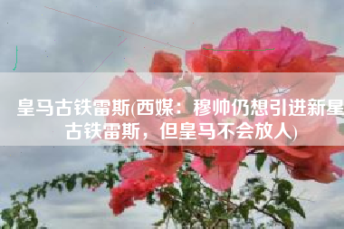 皇马古铁雷斯(西媒：穆帅仍想引进新星古铁雷斯，但皇马不会放人)