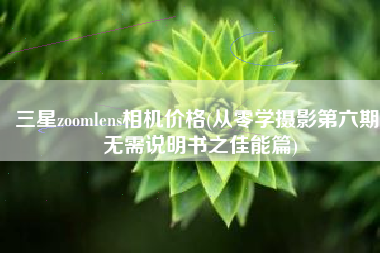 三星zoomlens相机价格(从零学摄影第六期 无需说明书之佳能篇)