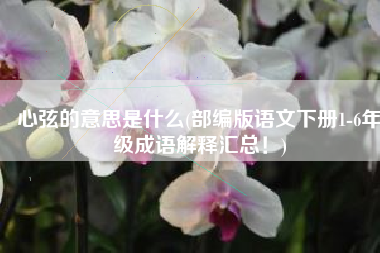 心弦的意思是什么(部编版语文下册1-6年级成语解释汇总！)