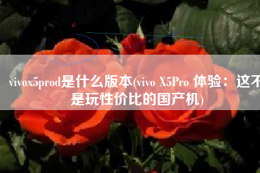 vivox5prod是什么版本(vivo X5Pro 体验：这不是玩性价比的国产机)