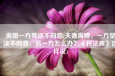 离婚一方死活不同意(夫妻离婚，一方坚决不同意，另一方怎么办？《民法典》这样说)