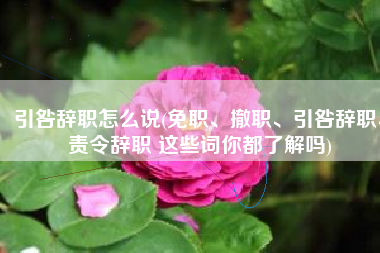 引咎辞职怎么说(免职、撤职、引咎辞职、责令辞职 这些词你都了解吗)