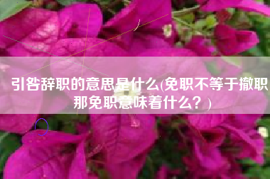引咎辞职的意思是什么(免职不等于撤职，那免职意味着什么？)
