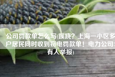 公司罚款单怎么写(蹊跷？上海一小区多户居民同时收到窃电罚款单！电力公司：有人举报)