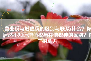 营业税与增值税的区别与联系(什么？你居然不知道增值税与其他税种的区别？这三招拿去)