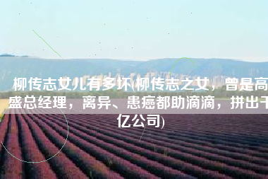 柳传志女儿有多坏(柳传志之女，曾是高盛总经理，离异、患癌都助滴滴，拼出千亿公司)