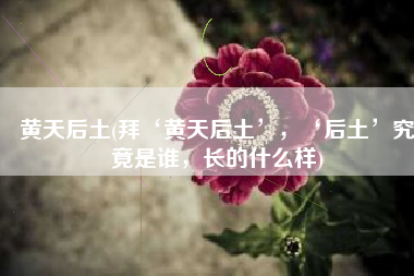 黄天后土(拜‘黄天后土’，‘后土’究竟是谁，长的什么样)