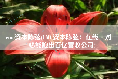 cmc资本陈弦(CMC资本陈弦：在线一对一必能跑出百亿营收公司)