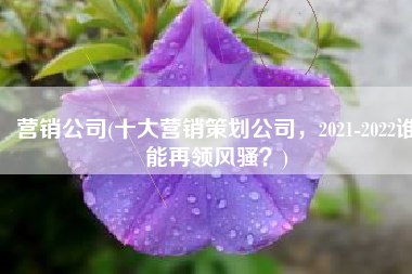 营销公司(十大营销策划公司，2021-2022谁能再领风骚？)