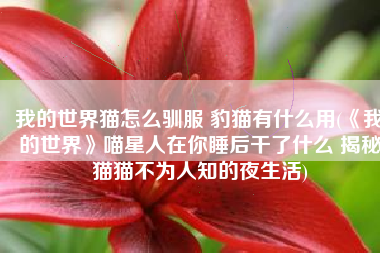 我的世界猫怎么驯服 豹猫有什么用(《我的世界》喵星人在你睡后干了什么 揭秘猫猫不为人知的夜生活)