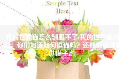 我的世界猫怎么驯服不了(我的世界模组篇：你们知道如何逗猫吗？还能把猫咪塞进罐子哟)