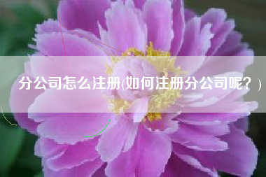 分公司怎么注册(如何注册分公司呢？)