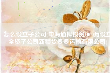 怎么设立子公司(中海通拟投资1000万设立全资子公司新疆货多多运输有限公司)