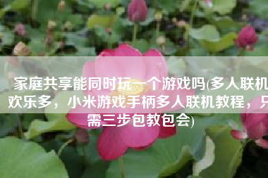 家庭共享能同时玩一个游戏吗(多人联机欢乐多，小米游戏手柄多人联机教程，只需三步包教包会)
