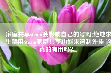 家庭共享steam会影响自己的号吗(绝地求生禁用Steam家庭共享功能来遏制外挂 这真的有用吗？)