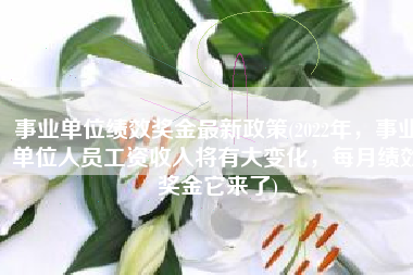 事业单位绩效奖金最新政策(2022年，事业单位人员工资收入将有大变化，每月绩效奖金它来了)