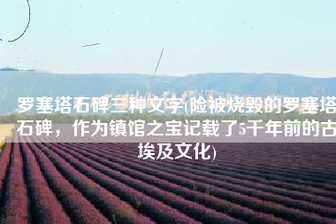 罗塞塔石碑三种文字(险被烧毁的罗塞塔石碑，作为镇馆之宝记载了5千年前的古埃及文化)