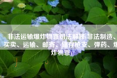 非法运输爆炸物罪司法解释(非法制造、买卖、运输、邮寄、储存枪支、弹药、爆炸物罪)