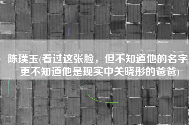 陈璞玉(看过这张脸，但不知道他的名字，更不知道他是现实中关晓彤的爸爸)