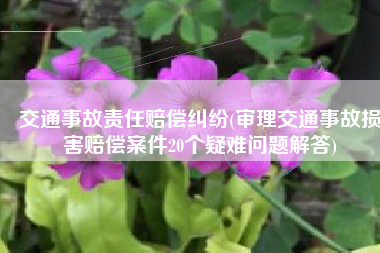 交通事故责任赔偿纠纷(审理交通事故损害赔偿案件20个疑难问题解答)